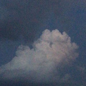 Meet your Posher, Sakura